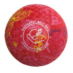 Geluidsbal Butterfly klein 14-16cm 160gr